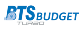 Logo BTS Budget Turbolader