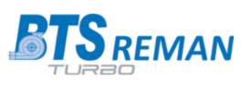 Logo BTS Reman Turbolader